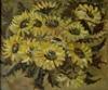         'Sunflower' 
50x60 Oil, canvas, 2000
           $550