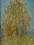       'Birch' 
80x60 Oil, canvas, 2003
        $620