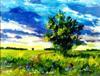 ╧15